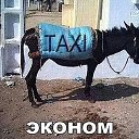 ���� ��������, ������, 55 ��� - ��������� 12 ������� 2019 � ������ ���� ����������