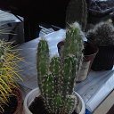 ���� ������ �������������, ������, 53 ���� - ��������� 17 ���� 2019 � ������ �������