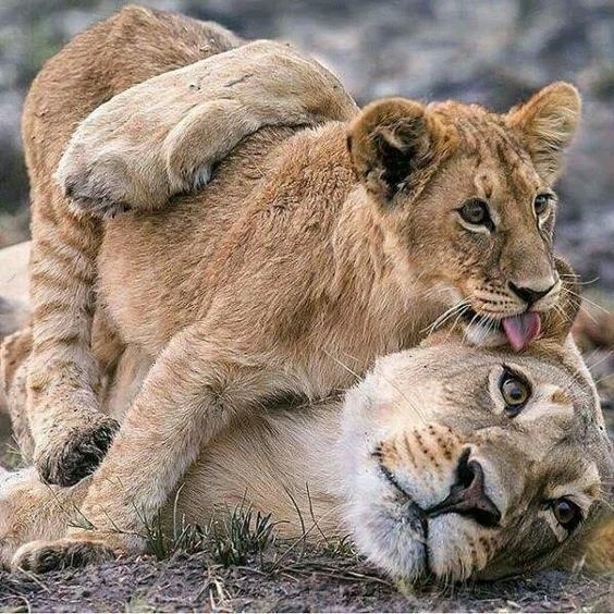 �������� �������! - 2 ���� 2019 � 23:14