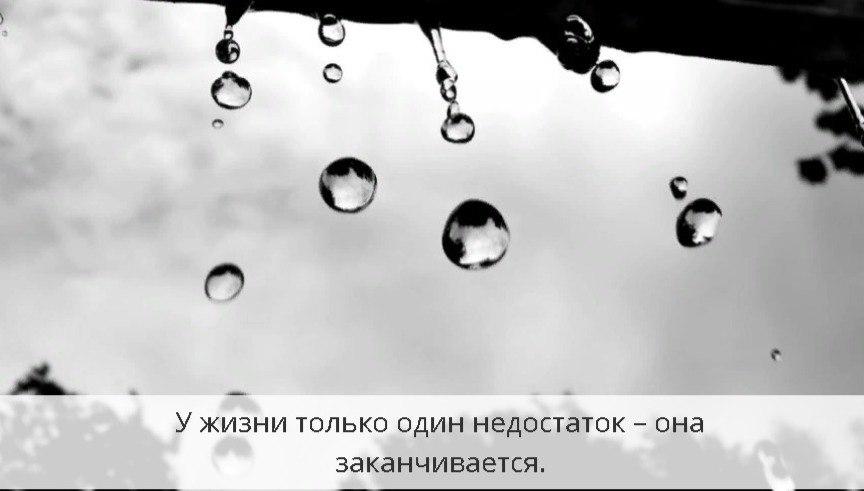     - 15  2019  19:02