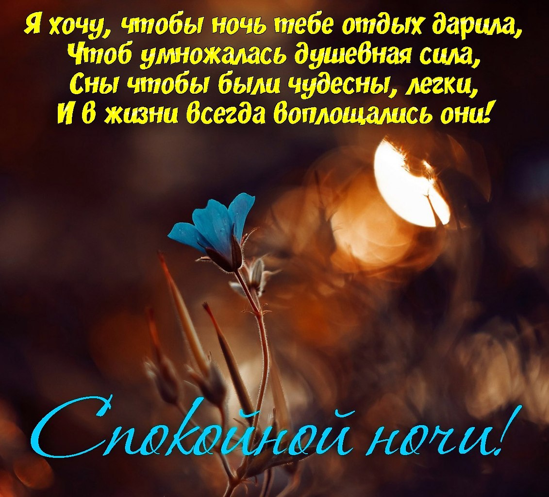   ,    . - 2  2019  21:06