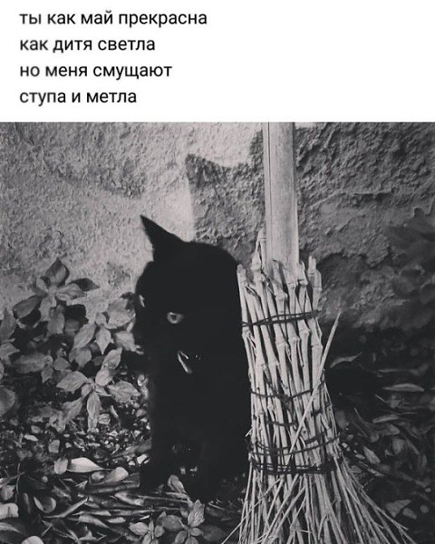 маги шутят.Закинул старик невод в синее море и вытащил оттуда море.— Отпусти меня старче, — ...