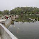 ���� �������, �����-��������� - ��������� 11 ��� 2019 � ������ ���� ����������