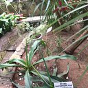 ���� ����, �����������, 50 ��� - ��������� 6 ������ 2019 � ������ ������������� ���