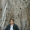 ���� Mikhail, ������ - ��������� 8 ������ 2019 � ������ ���� ����������