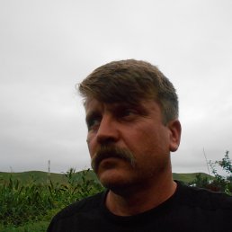 ������, ��������, 52 ����