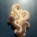 ���� Valda, �����, 53 ���� - ��������� 18 �������� 2019 � ������ ���� �������