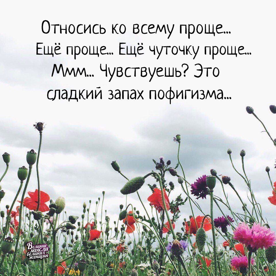     - 24  2019  03:39