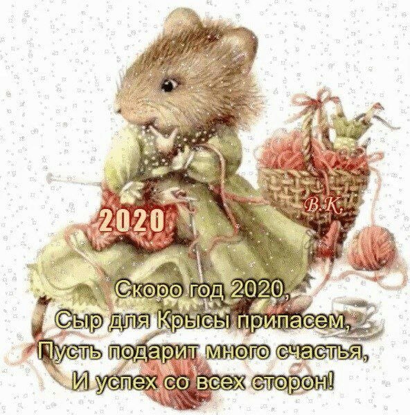 Anett - 29  2019  11:45