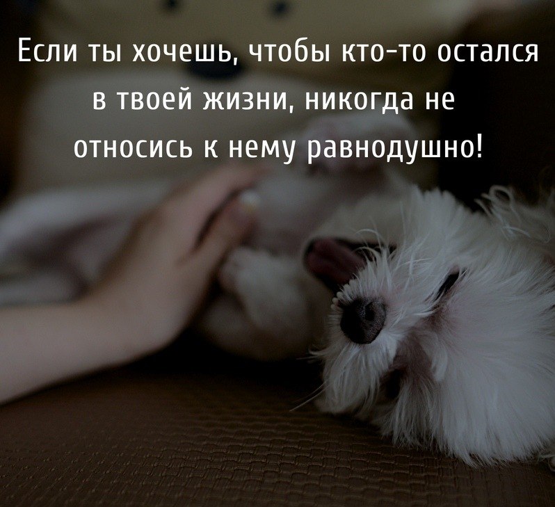   . . . - 29  2019  03:47