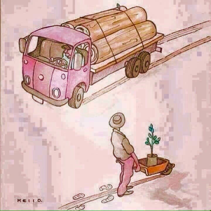  - 4  2019  01:29
