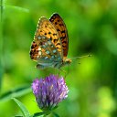 ���� ������, ������, 65 ��� - ��������� 1 ������� 2019 � ������ ���� ����������