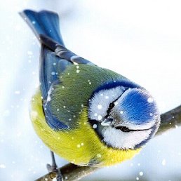 �����, �����, 22 ����