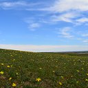 ���� ��������, ����� - ��������� 7 ������ 2019 � ������ �UZGTL�