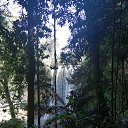 ���� Gala, ������ - ��������� 21 ������� 2019 � ������ �������� ������� 2019�