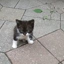 ���� �����, ����, 67 ��� - ��������� 9 ������� 2019