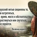  Testardo, , 44  -  26  2019    