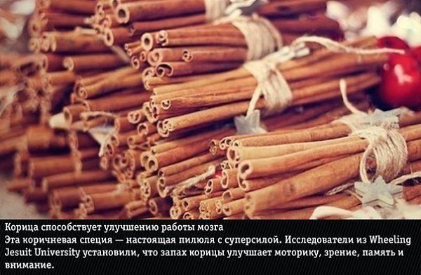 9 природных ароматов, неожиданно меняющие эмоции человека - 2