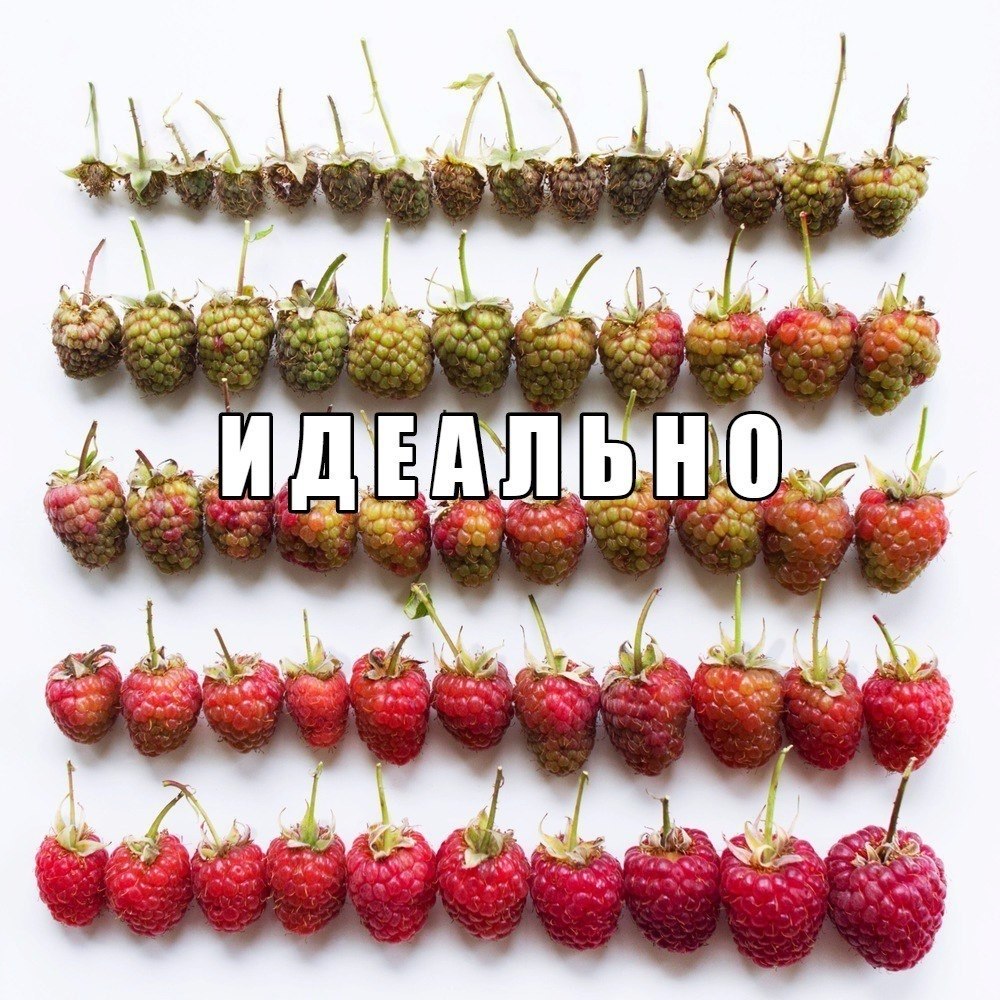   - 4  2019  03:46