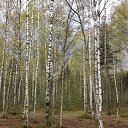 ���� �����, �����-��������� - ��������� 3 ������ 2019 � ������ ���� ����������