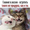���� �������, ������ - ��������� 19 ������ 2019 � ������ ������ ��������