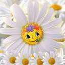 ���� �������, ������ - ��������� 27 ���� 2019