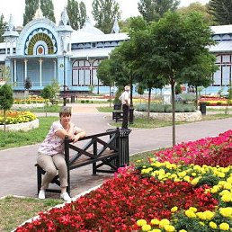 �������, ������������, 49 ���