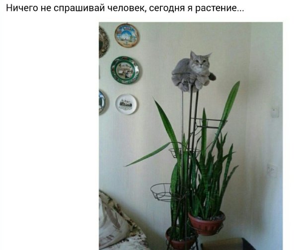 ������ �� ���... - 19 �������� 2019 � 21:57
