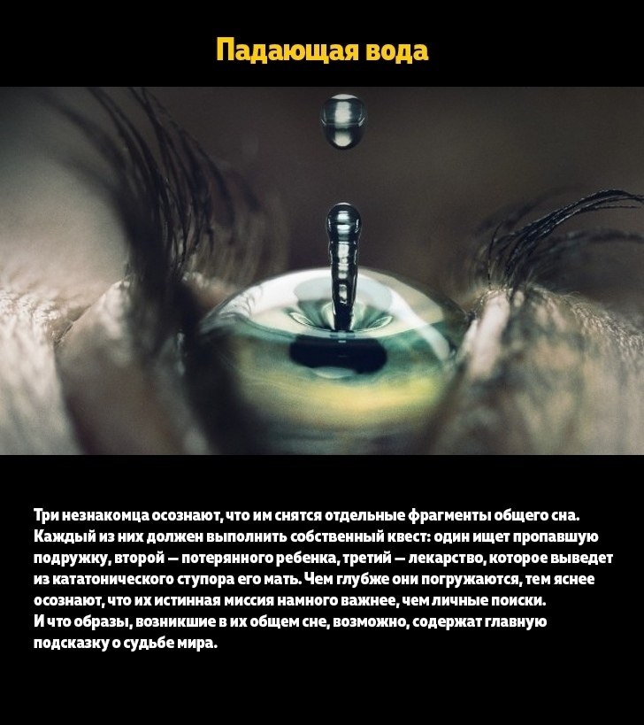 10 ox cepao, oope apapoao apy ac c epx apo - 4