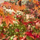 ���� ����, ����� - ��������� 7 ������ 2019 � ������ ���� ����������