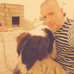 ����, �����������