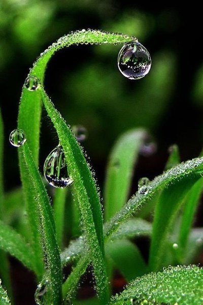  ! - 4  2019  10:17 - 4