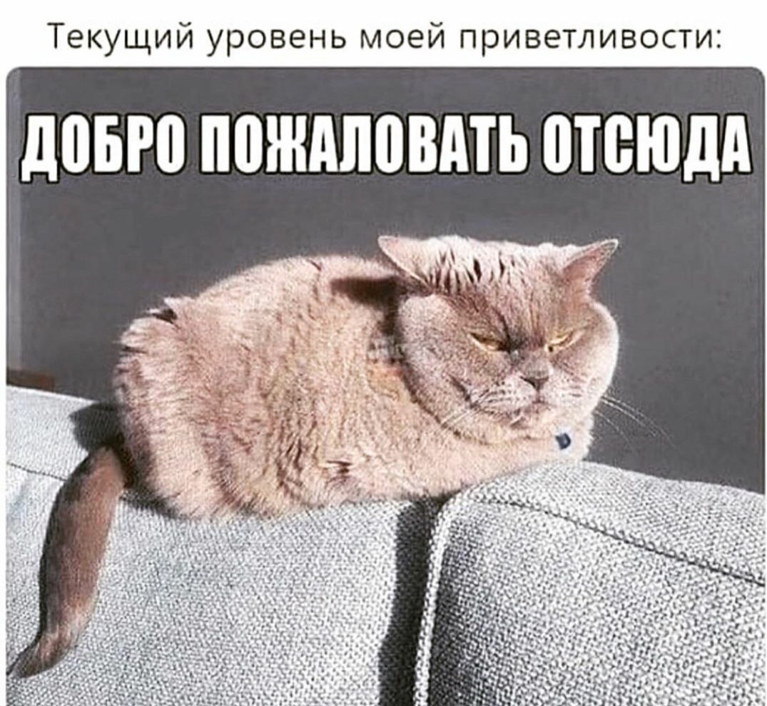 =Fox= - 21  2019  21:16