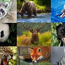 ���� Lara, ������� - ��������� 24 ������ 2019 � ������ �������