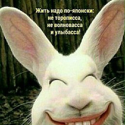 ���������, ������, 46 ���
