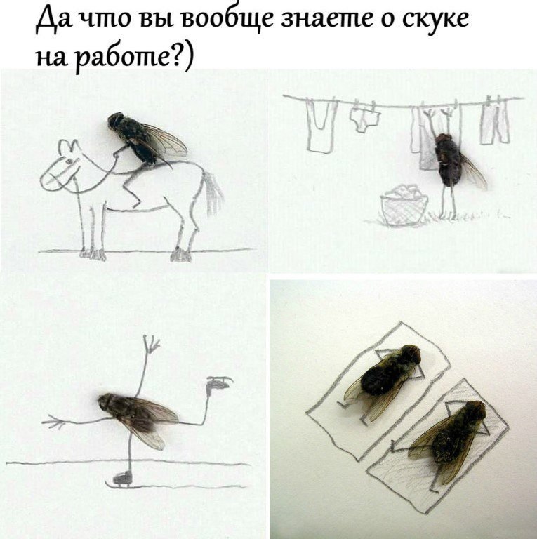  - 1  2019  12:45