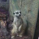 �����)))) �� ������� ����� 2019�