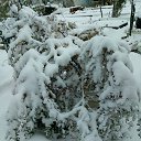 ���� ����, ��������� - ��������� 20 ������� 2019 � ������ ������ ��������