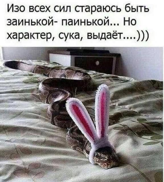 )))
