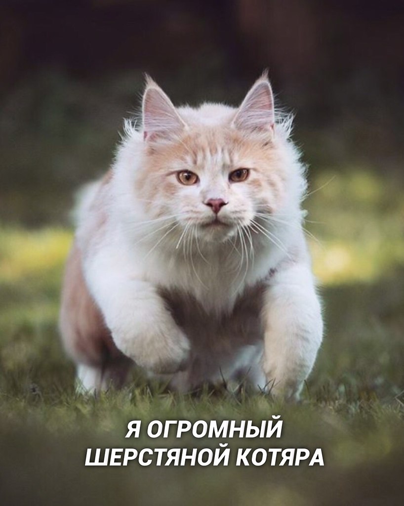  ,    - 3