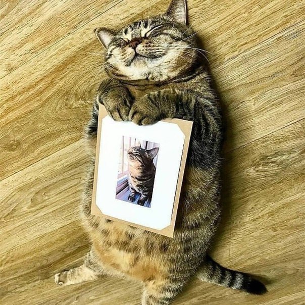  ,      )