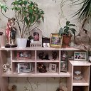 ���� Nik, ������������, 56 ��� - ��������� 31 ������� 2019 � ������ ���� ����������