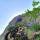 ���� �����, ����������, 51 ��� - ��������� 20 �������� 2019 � ������ ���� ����������