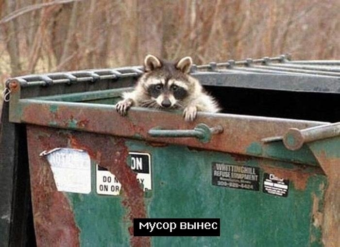 ,    - 4