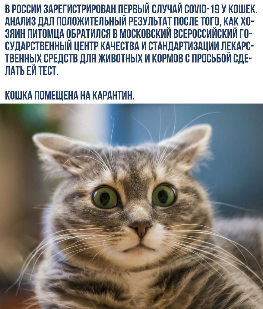    - 29  2020  18:54