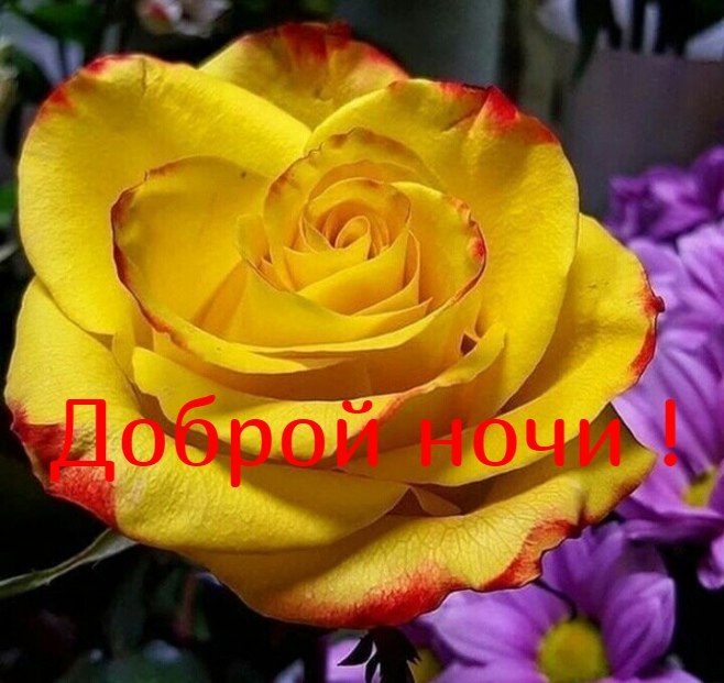   ,    . - 18  2020  20:06