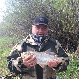 ������, ������, 50 ���