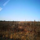 ���� ����, ����-���������, 36 ��� - ��������� 26 ���� 2020 � ������ ���� ����������