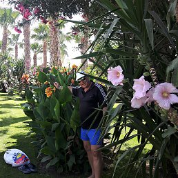 ��������, ������, 58 ���