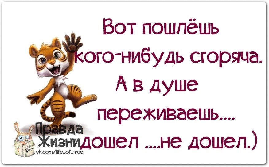 Вот думаю а может. Хочется всех послать нахер. Послать с юмором. Цитаты послать всех подальше. Правда жизни юмор мотивация.